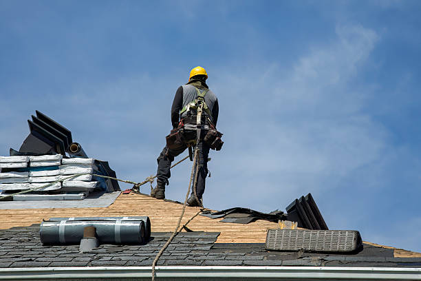 Professional Roof Replacement technician working in Hallam, NE